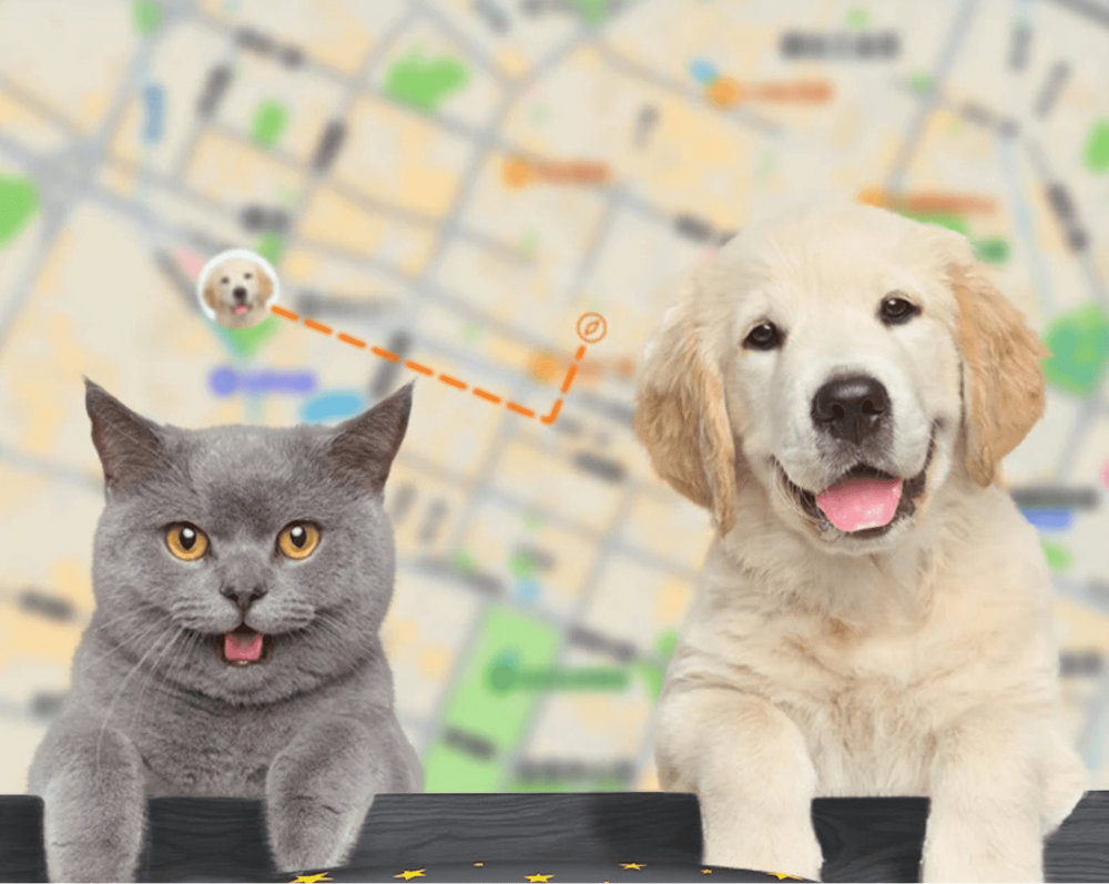 4G GPS Dog Tracker with Real-Time Location and Waterproof Design – Compact Dog Tracking Collar 1