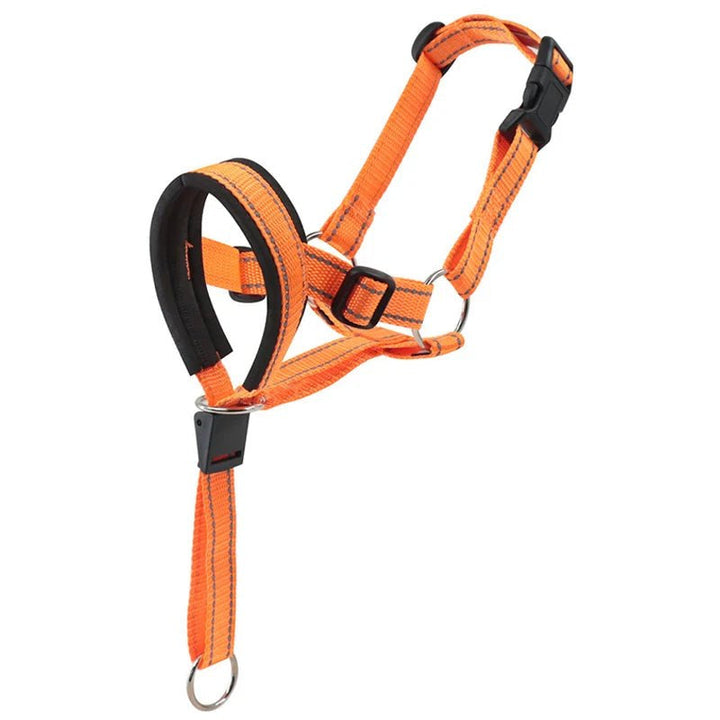 Adjustable Halti Style Dog Muzzle - Breathable, Comfortable Fit with Reflective Strips for Training and Control 5
