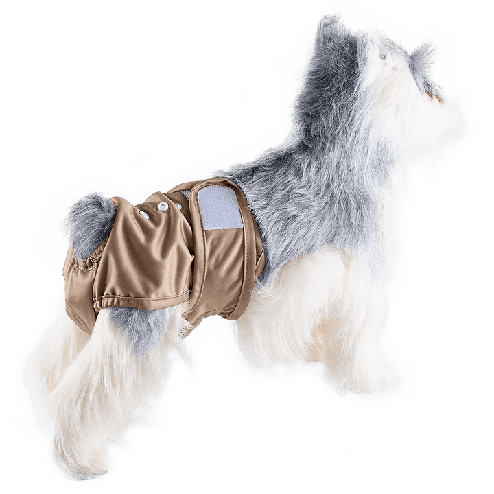 Adjustable Reusable Dog Diaper for Females – Leakproof Design for Heat and Incontinence, Washable and Comfortable 1