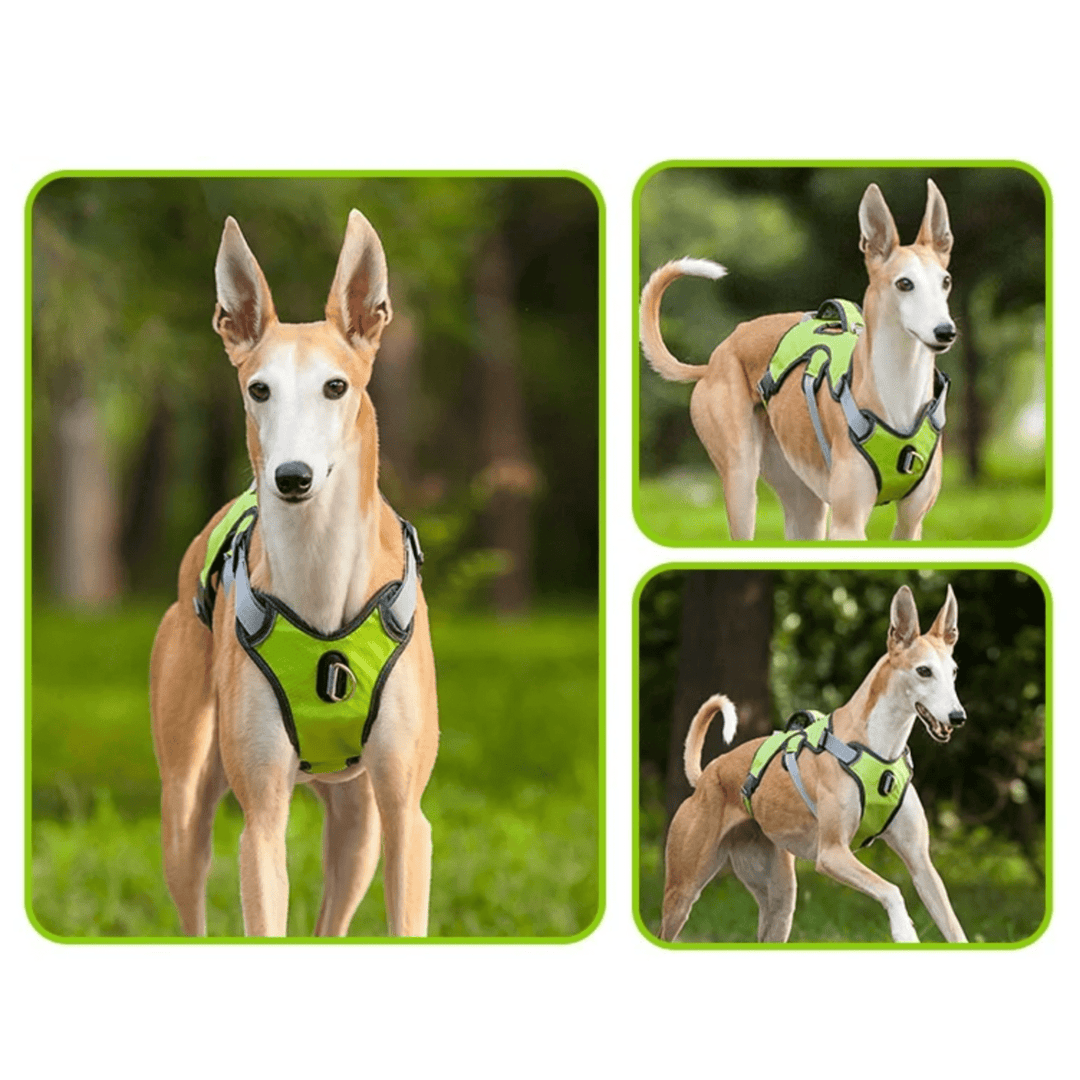 Adjustable Waterproof Dog Harness for Medium and Large Dogs – Reflective Strips for Safety and Comfort 3