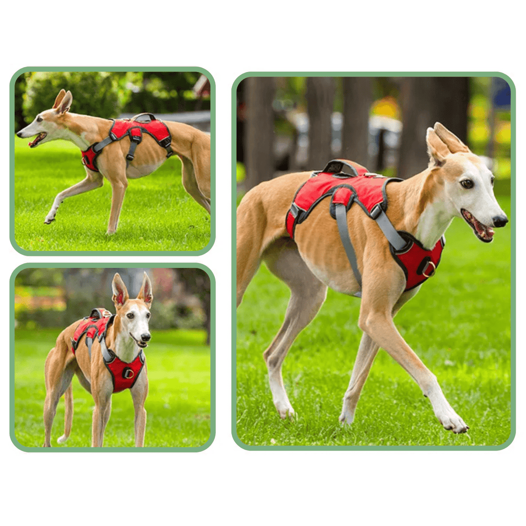 Adjustable Waterproof Dog Harness for Medium and Large Dogs – Reflective Strips for Safety and Comfort 5