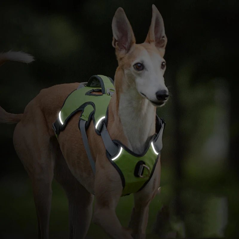 Adjustable Waterproof Dog Harness for Medium and Large Dogs – Reflective Strips for Safety and Comfort 6
