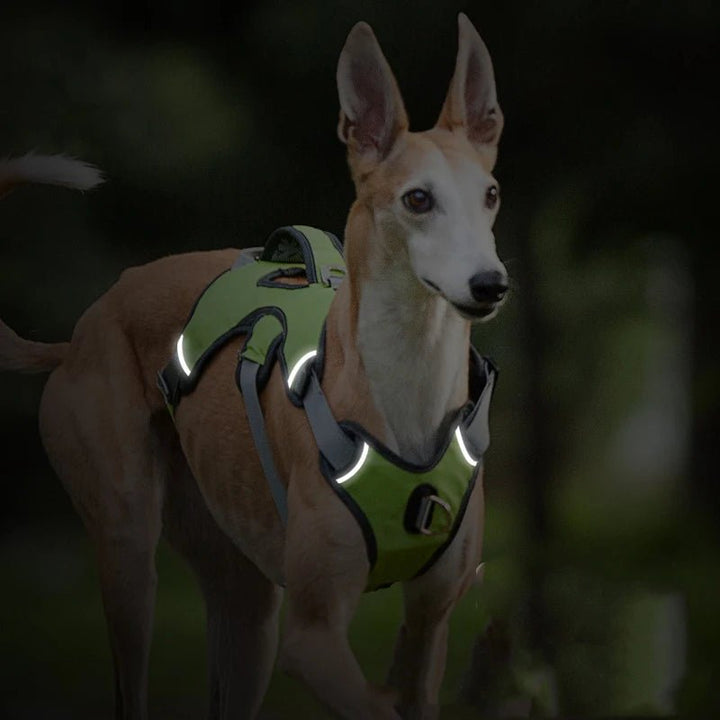 Adjustable Waterproof Dog Harness for Medium and Large Dogs – Reflective Strips for Safety and Comfort 6
