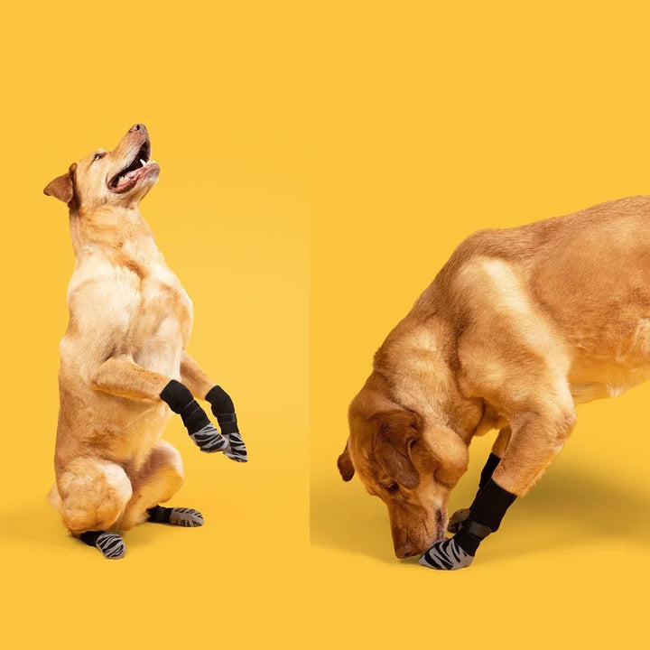 Anti-Slip Dog Socks for All Breeds – Enhanced Grip and Comfort 2