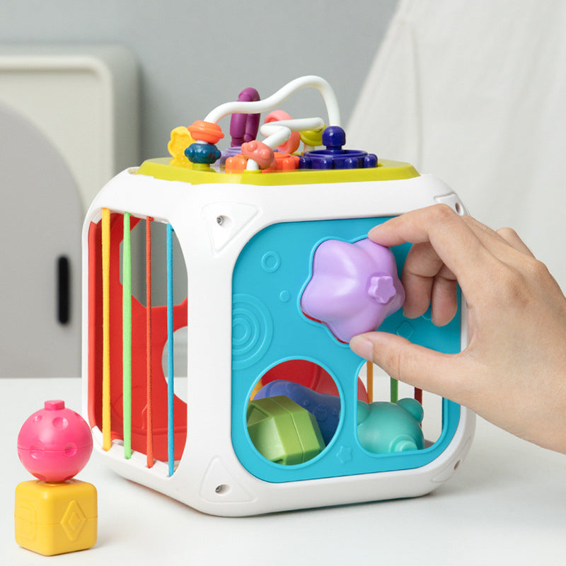 Baby Shape Sorter Toy Educational BPA-Free Plastic for Motor Skills Development 0