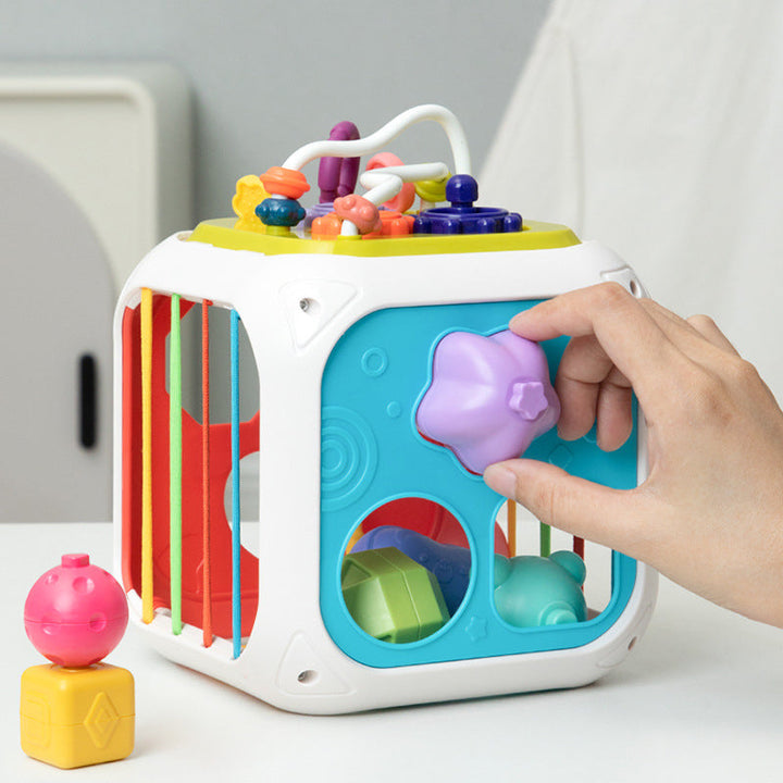 Baby Shape Sorter Toy Educational BPA-Free Plastic for Motor Skills Development 0