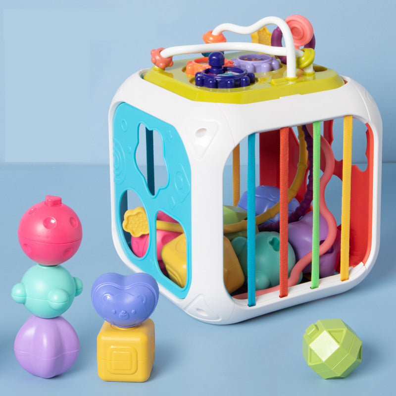 Baby Shape Sorter Toy Educational BPA-Free Plastic for Motor Skills Development 1