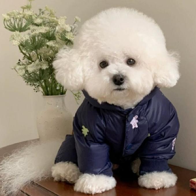 Bear Pattern Jumpsuit Jacket for Small to Medium Dogs – Cozy and Stylish Winter Wear 0