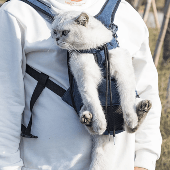 Breathable Pet Carrier Backpack for Dogs and Cats – Ergonomic Design with Safety Features and Ventilated Mesh 6