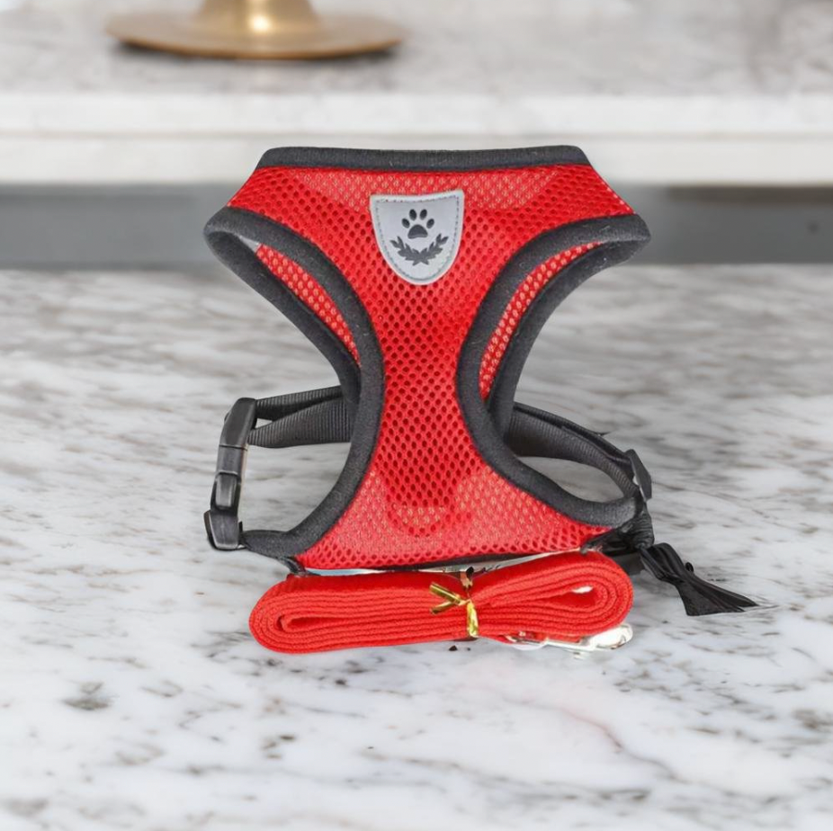 Comfortable Cat Harness and Leash Set, Adjustable Breathable Design for Safe Outdoor Adventures – Best Cat Harness for Kittens and Cats 1