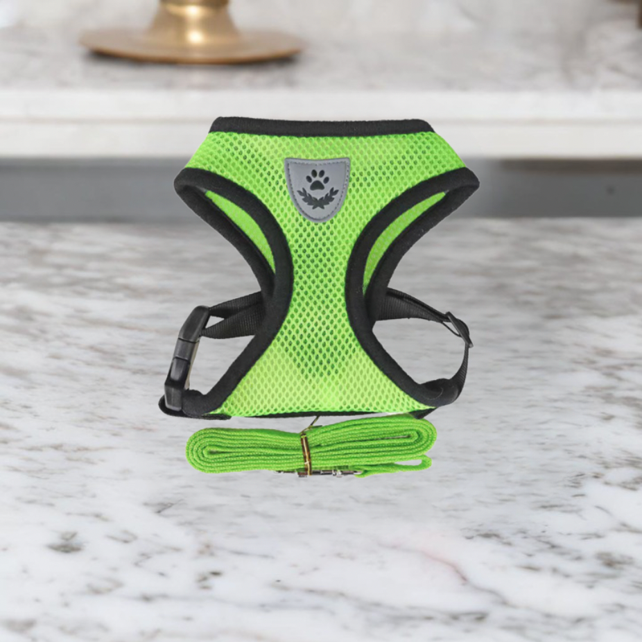 Comfortable Cat Harness and Leash Set, Adjustable Breathable Design for Safe Outdoor Adventures – Best Cat Harness for Kittens and Cats 3