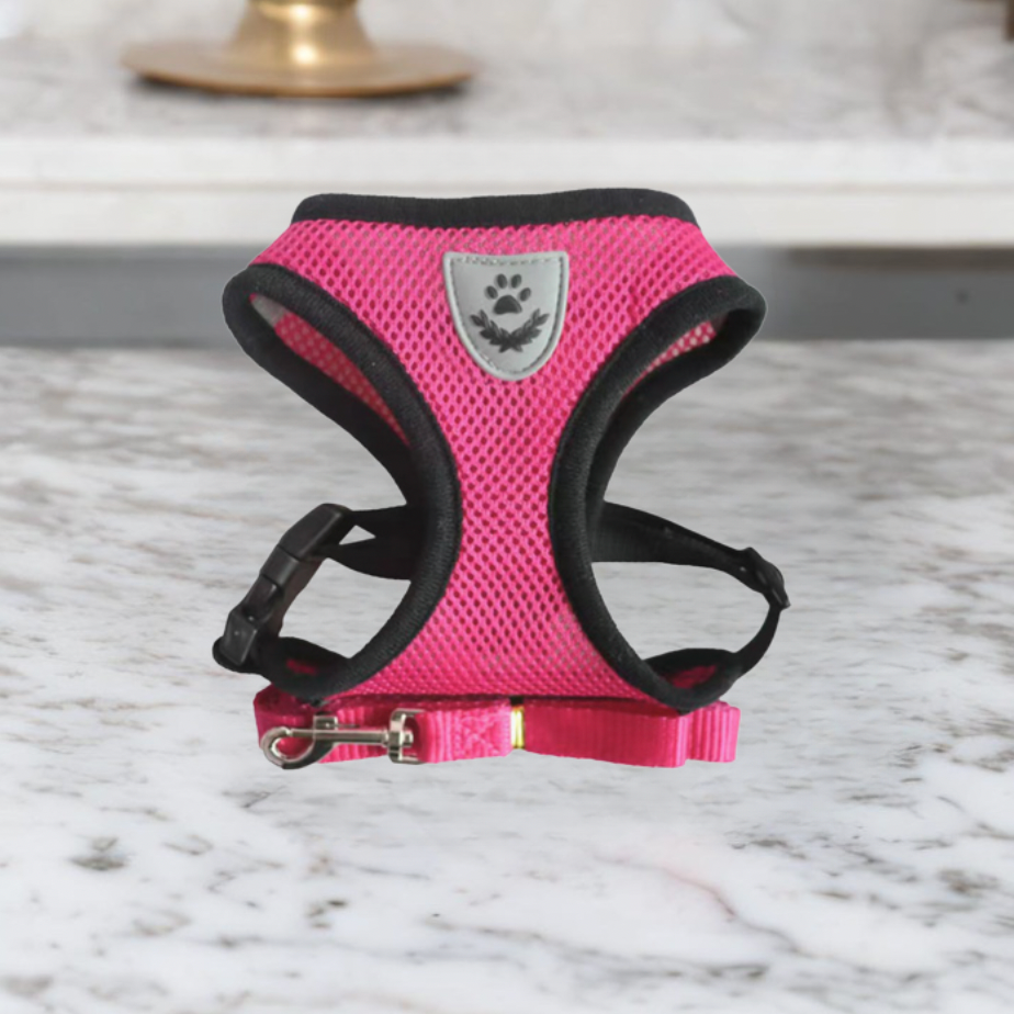 Comfortable Cat Harness and Leash Set, Adjustable Breathable Design for Safe Outdoor Adventures – Best Cat Harness for Kittens and Cats 4