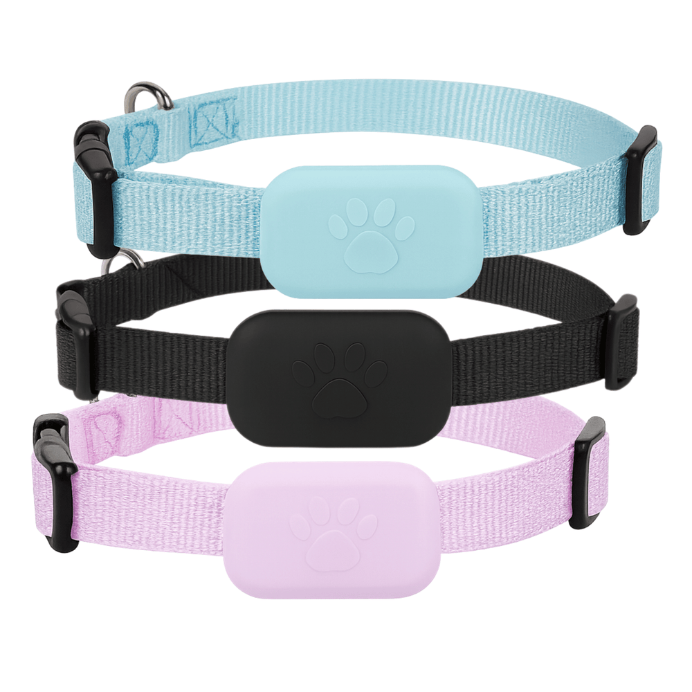 Compact GPS Dog Tracker with Real-Time Location Tracking for Cats and Dogs – Lightweight and Adjustable Fit 1