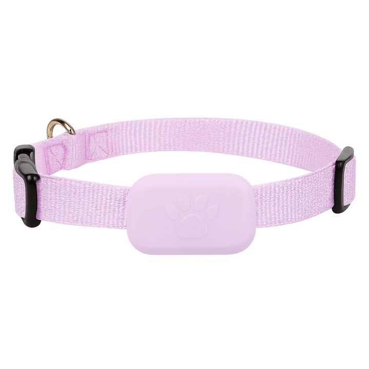 Compact GPS Dog Tracker with Real-Time Location Tracking for Cats and Dogs – Lightweight and Adjustable Fit 6