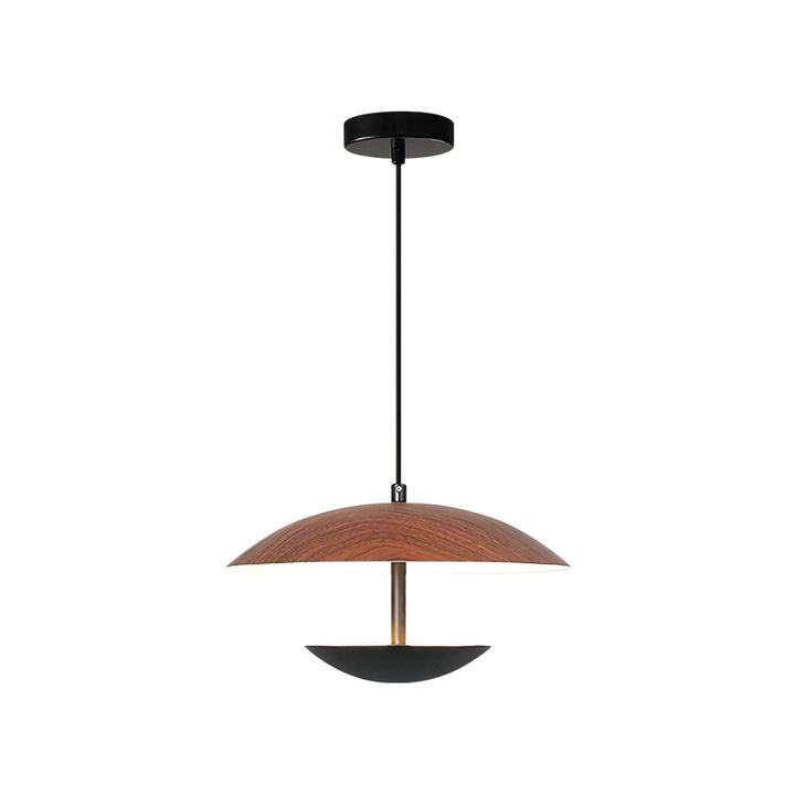 Cozil Hanging Lamp 12