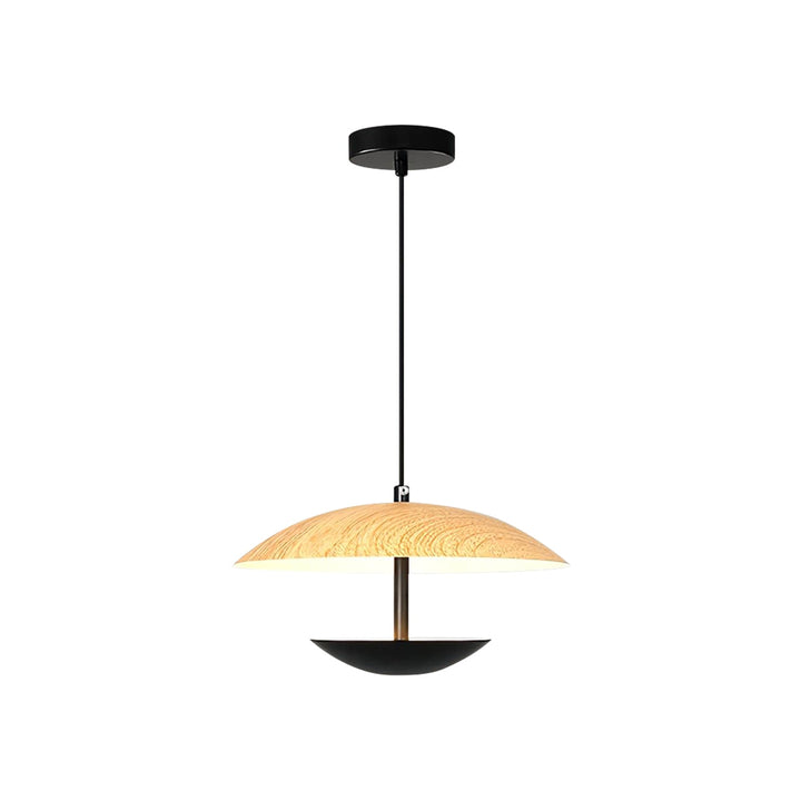 Cozil Hanging Lamp 13