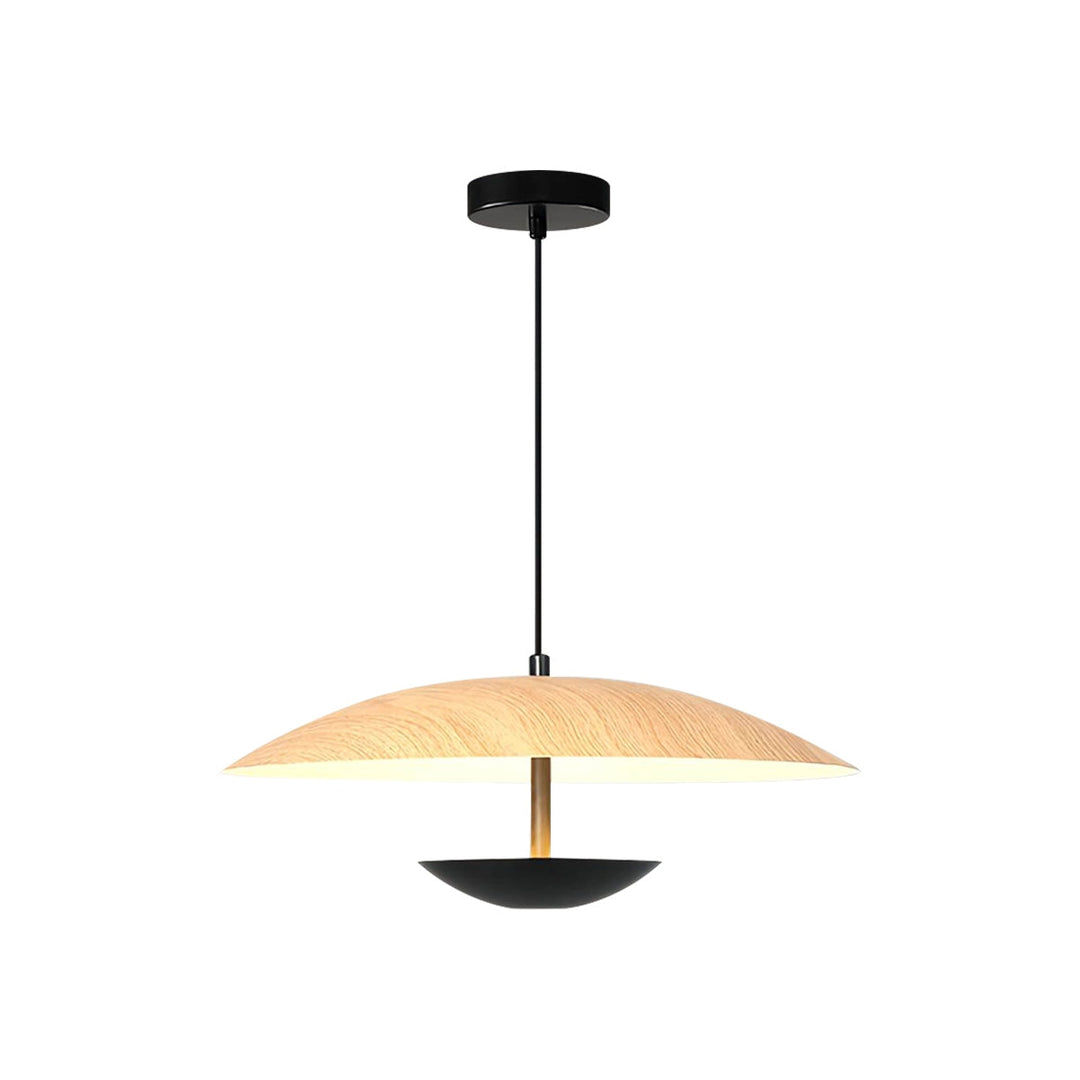 Cozil Hanging Lamp 9