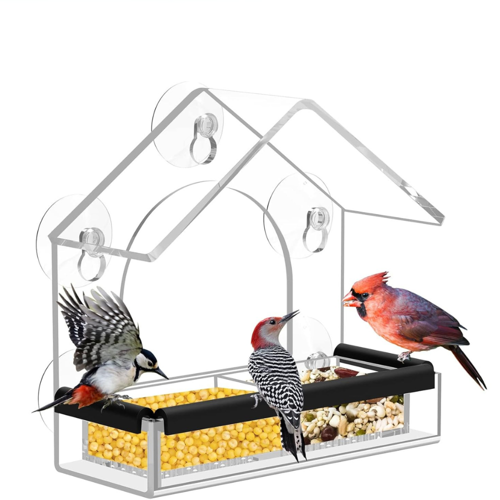CrystalVista | Modern Durable Acrylic Window Bird Feeder for Wildlife Observation 1