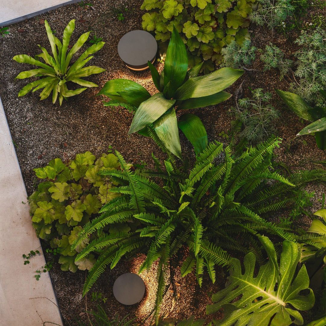 DottedShine - Garden Lamp 7