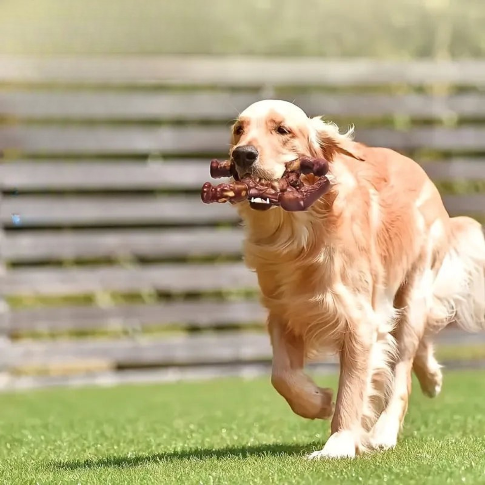 Durable Chew Toy for Heavy Chewers – RobustApe Interactive Dog Toy 1