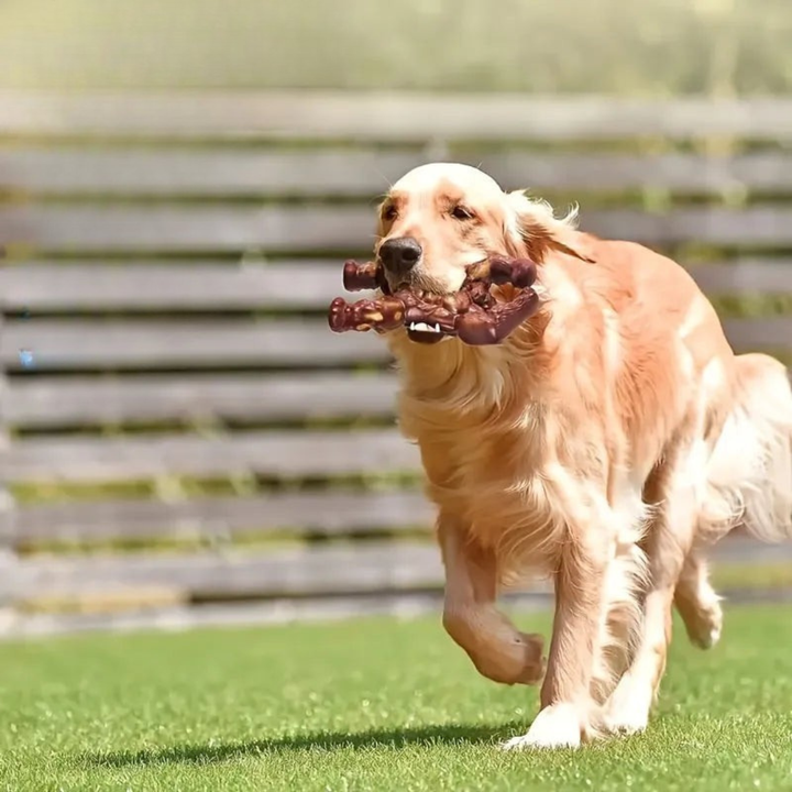 Durable Chew Toy for Heavy Chewers – RobustApe Interactive Dog Toy 1