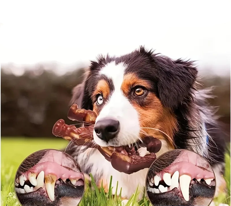 Durable Chew Toy for Heavy Chewers – RobustApe Interactive Dog Toy 2