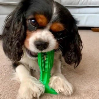 Durable Dog Toothbrush Toy – Tough Natural Rubber Chew Toy for Dental Health and Fresh Breath 2