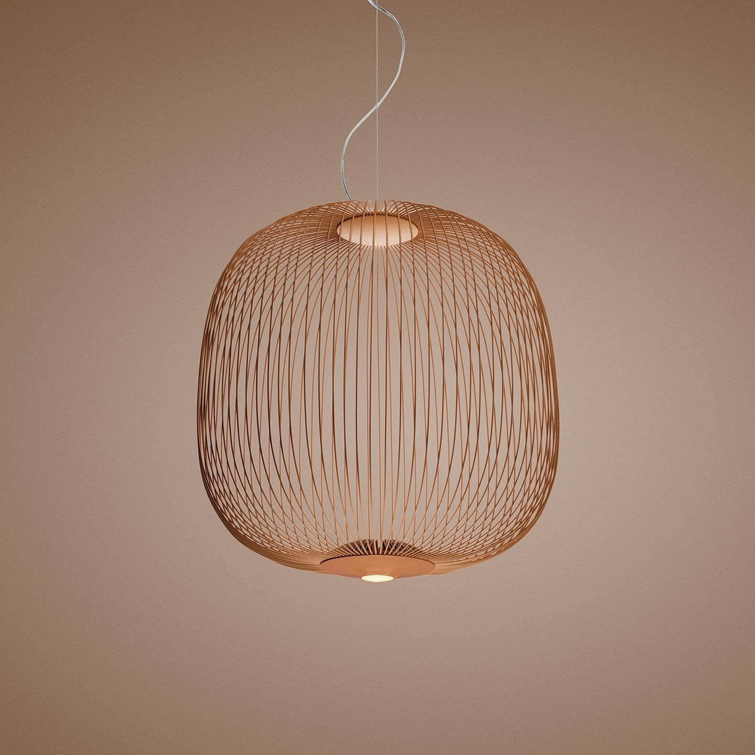 Enloria Cage Pendant Lamp 12