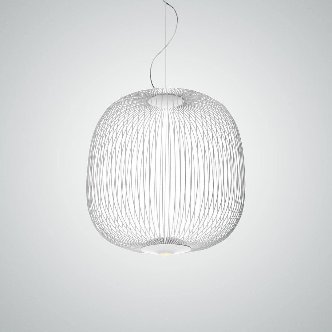 Enloria Cage Pendant Lamp 13