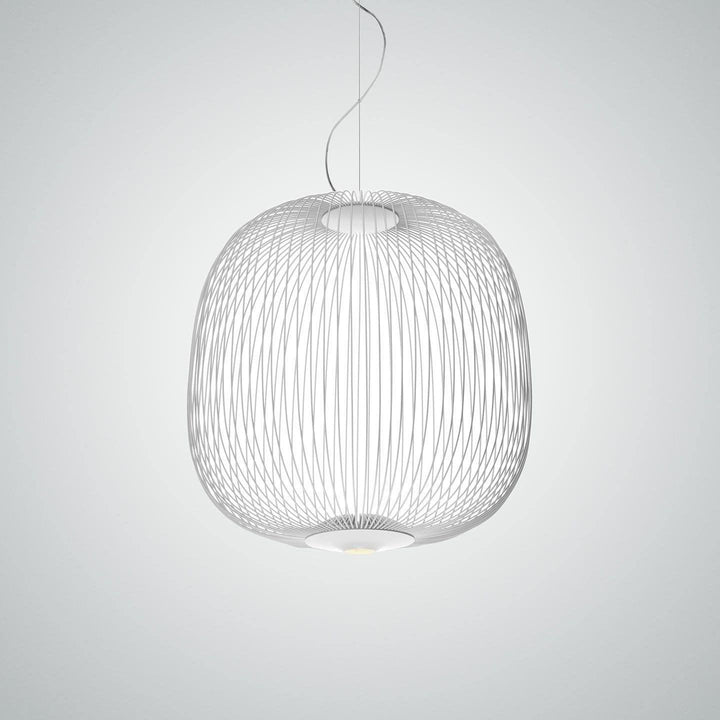 Enloria Cage Pendant Lamp 13