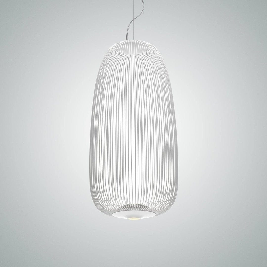 Enloria Cage Pendant Lamp 16