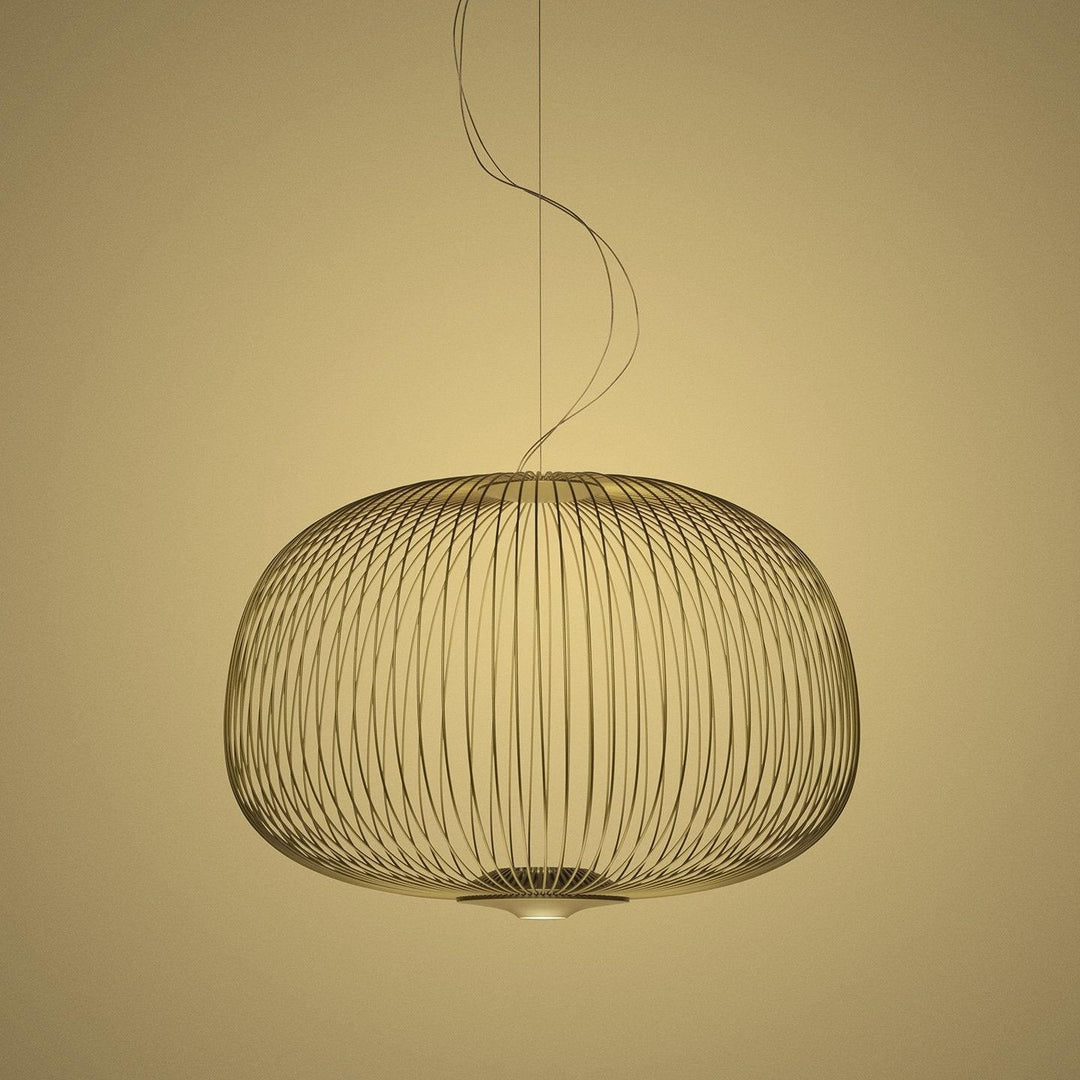 Enloria Cage Pendant Lamp 9
