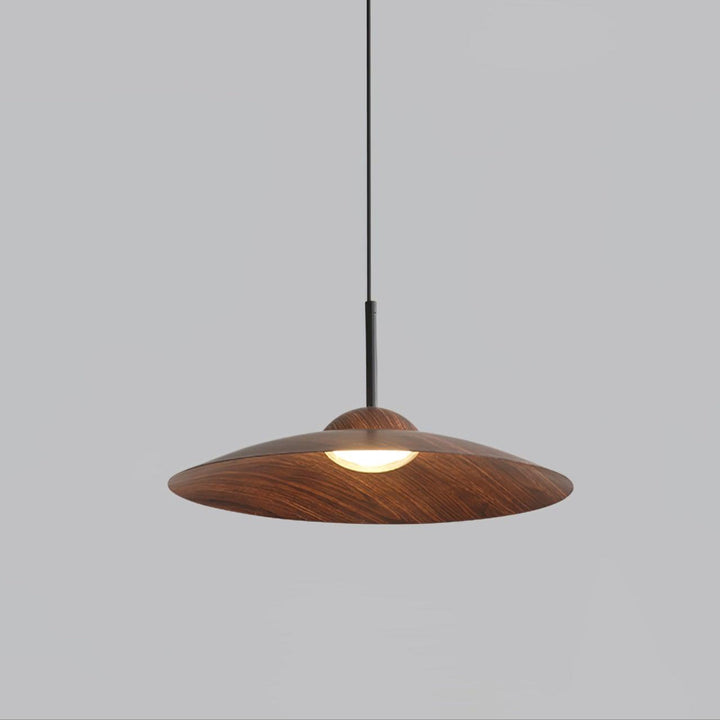 Erceduan Japandi Pendant Lamp 0