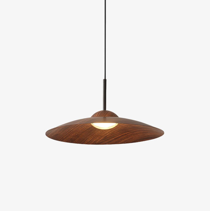 Erceduan Japandi Pendant Lamp 2