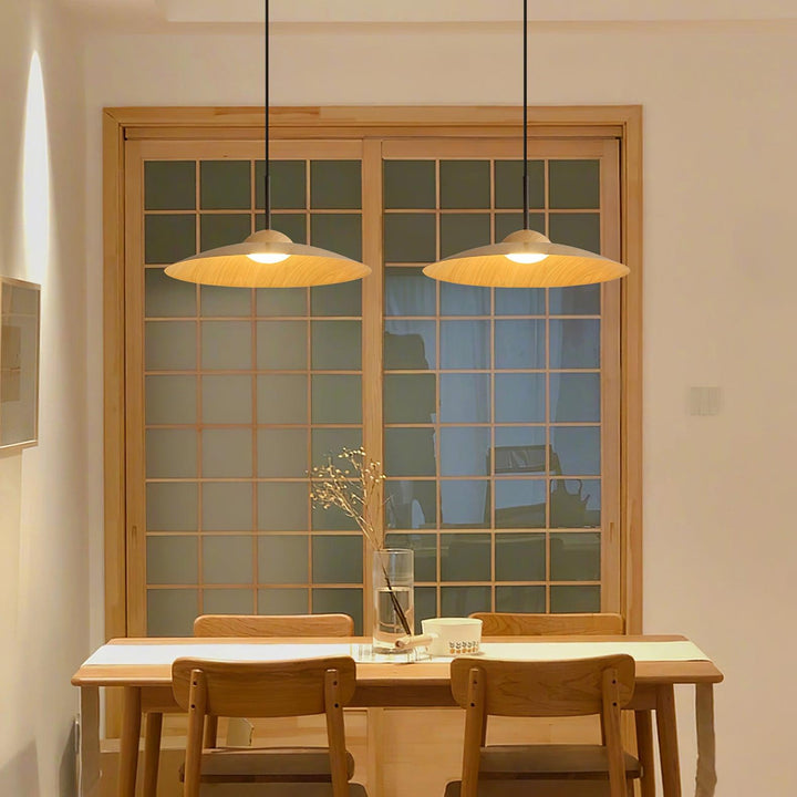 Erceduan Japandi Pendant Lamp 6