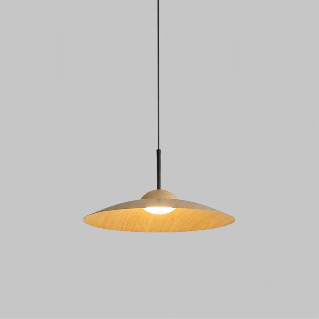 Erceduan Japandi Pendant Lamp 9