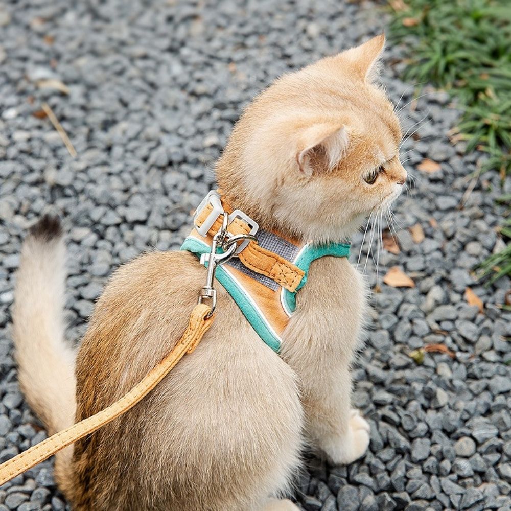Escape-Proof Cat Harness and Leash Set – Adjustable, Comfortable, Breathable Fabric for Safe Outdoor Adventures 1
