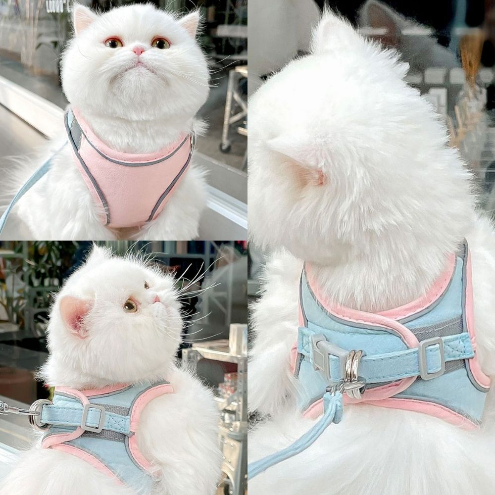 Escape-Proof Cat Harness and Leash Set – Adjustable, Comfortable, Breathable Fabric for Safe Outdoor Adventures 3