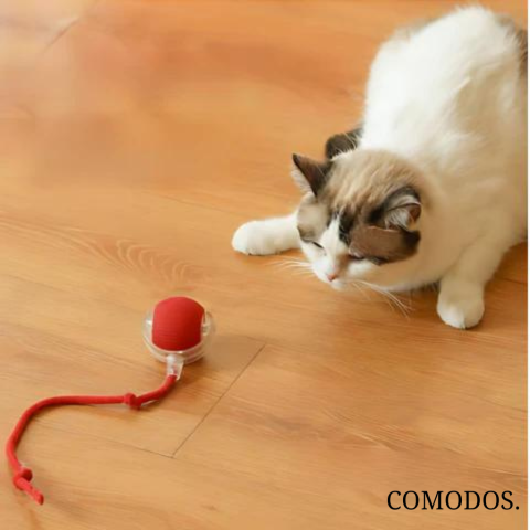 FelineMotion | Engaging Automatic Interactive Cat Toy for Active Play 2