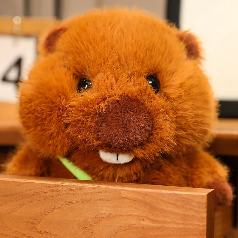 Funny beaver as a stuffed toy in various sizes 1