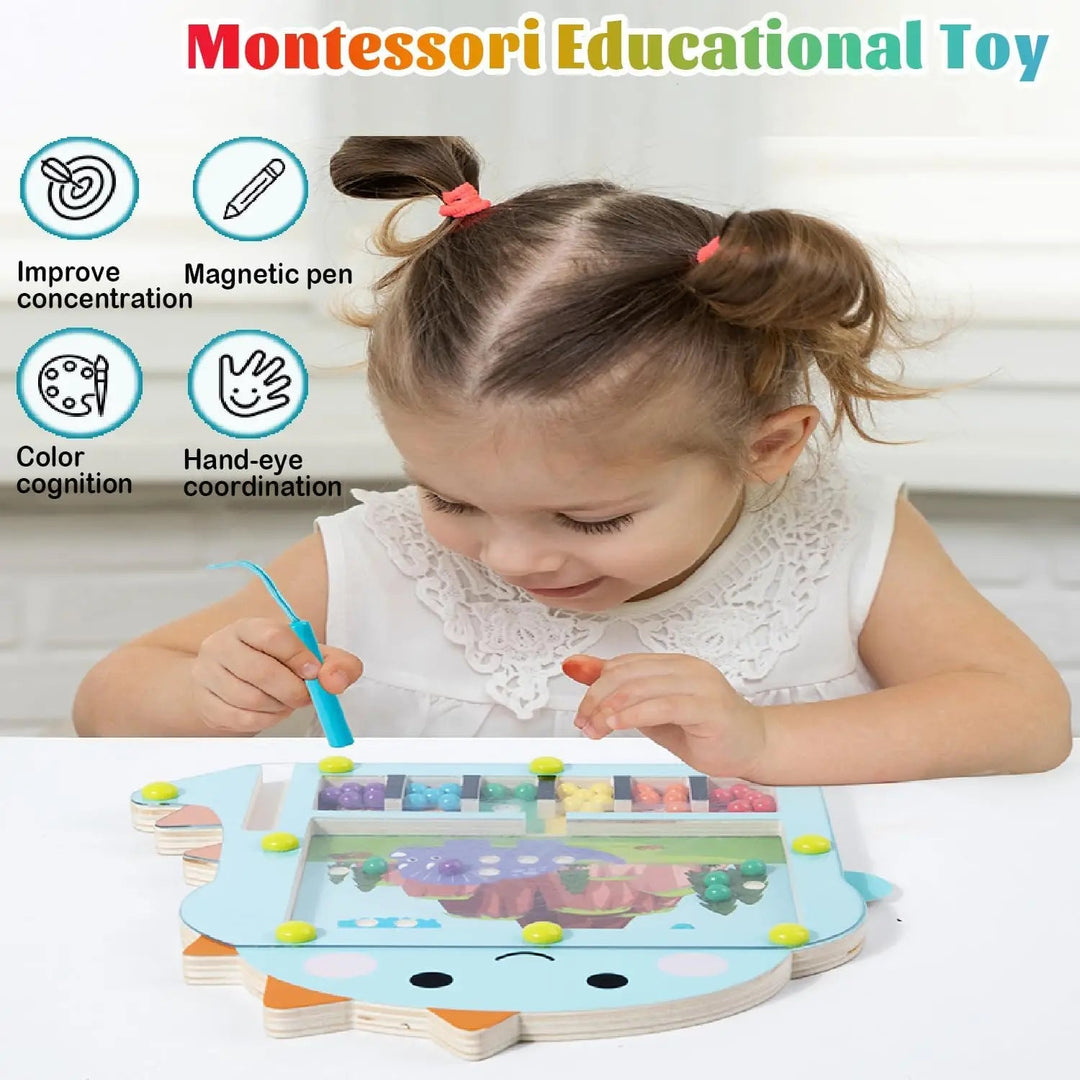Houten Magnetische Ballenpuzzel voor Kinderen – Creatieve Doolhofuitdaging met Kleurige Kralen en Transparante Afdekking 2