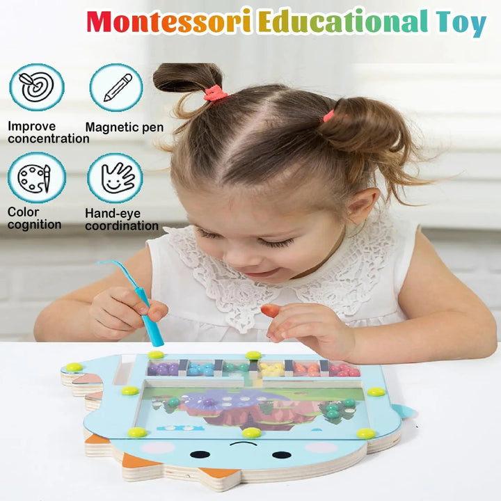 Houten Magnetische Ballenpuzzel voor Kinderen – Creatieve Doolhofuitdaging met Kleurige Kralen en Transparante Afdekking 2
