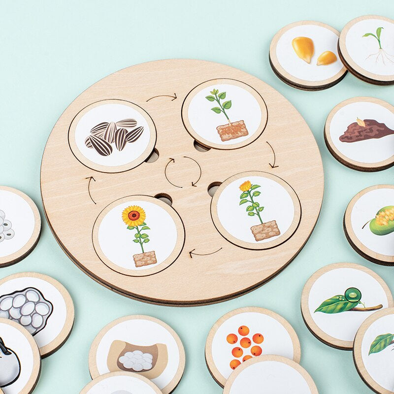 Houten Puzzel Levenscyclus Voor Kinderen 3+ Hoogwaardig Hout Educatief Speelgoed 0
