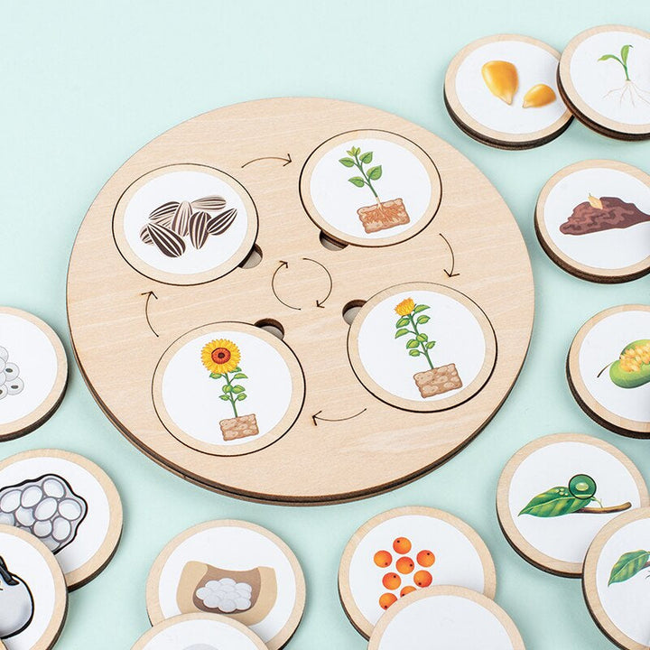 Houten Puzzel Levenscyclus Voor Kinderen 3+ Hoogwaardig Hout Educatief Speelgoed 0