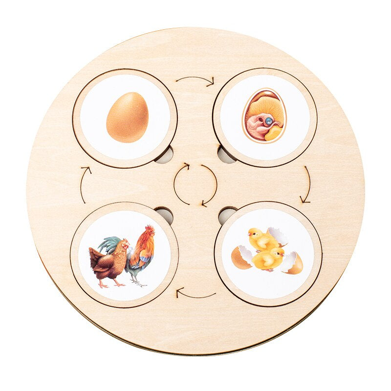 Houten Puzzel Levenscyclus Voor Kinderen 3+ Hoogwaardig Hout Educatief Speelgoed 4