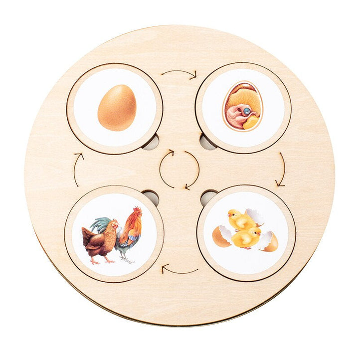 Houten Puzzel Levenscyclus Voor Kinderen 3+ Hoogwaardig Hout Educatief Speelgoed 4