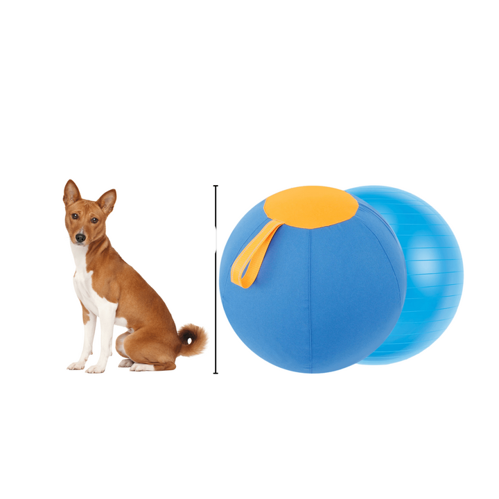 Interactive Dog Shepherd's Ball for Agility Training – Durable PVC and Polyester, Two Sizes Available 0