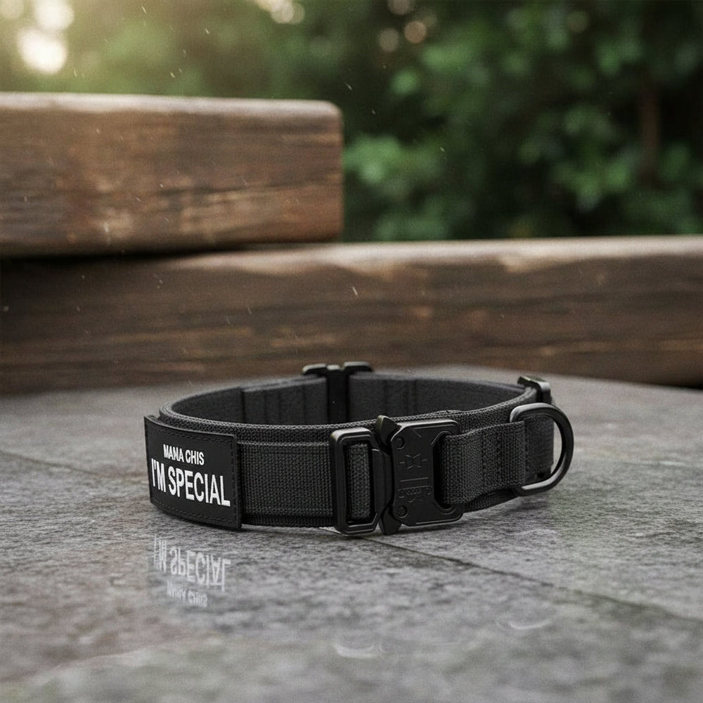 K9Guard | Durable Adjustable Dog Collar Set for Training & Daily Use 1