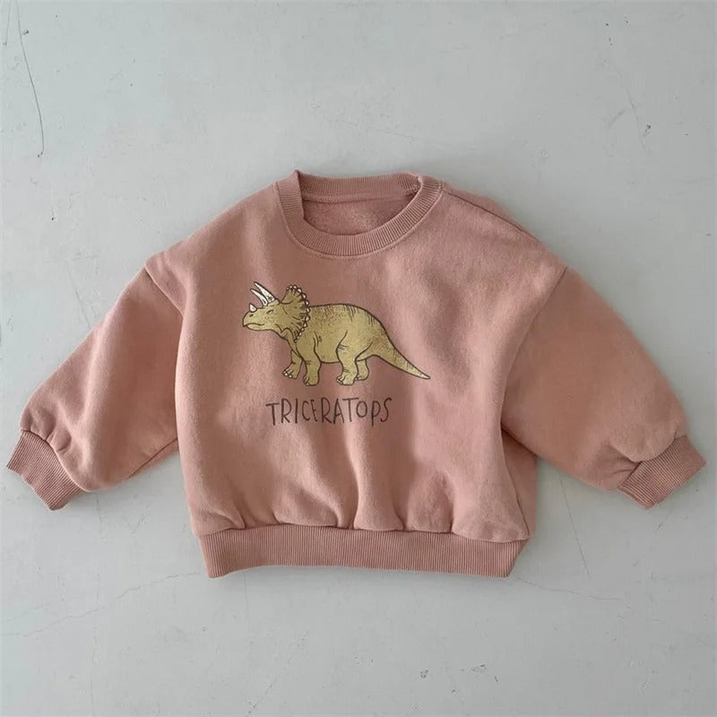 Kinderen Sweater Leuke Dinosaurusprint 100% Katoen Groene Kleur 0