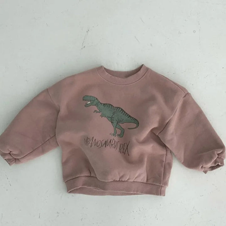 Kinderen Sweater Leuke Dinosaurusprint 100% Katoen Groene Kleur 3